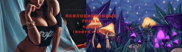стаф Балахна