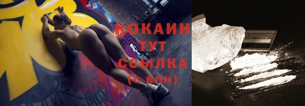 стаф Балахна