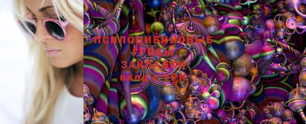 стаф Балахна