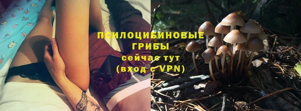 стаф Балахна