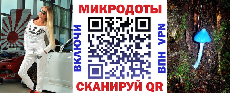 где найти наркотики  Отрадный  Галлюциногенные грибы Psilocybe 